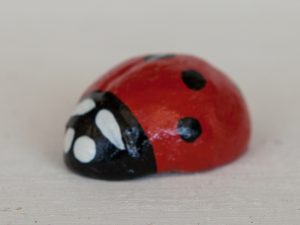 Coccinelle ceramica piccole