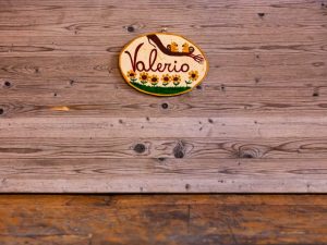 Ovale di legno con scoiattoli e girasoli