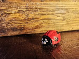 Coccinelle di ceramica grandi
