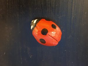 Coccinella Grande - Calamita